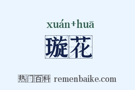 璇花是什么意思的图片